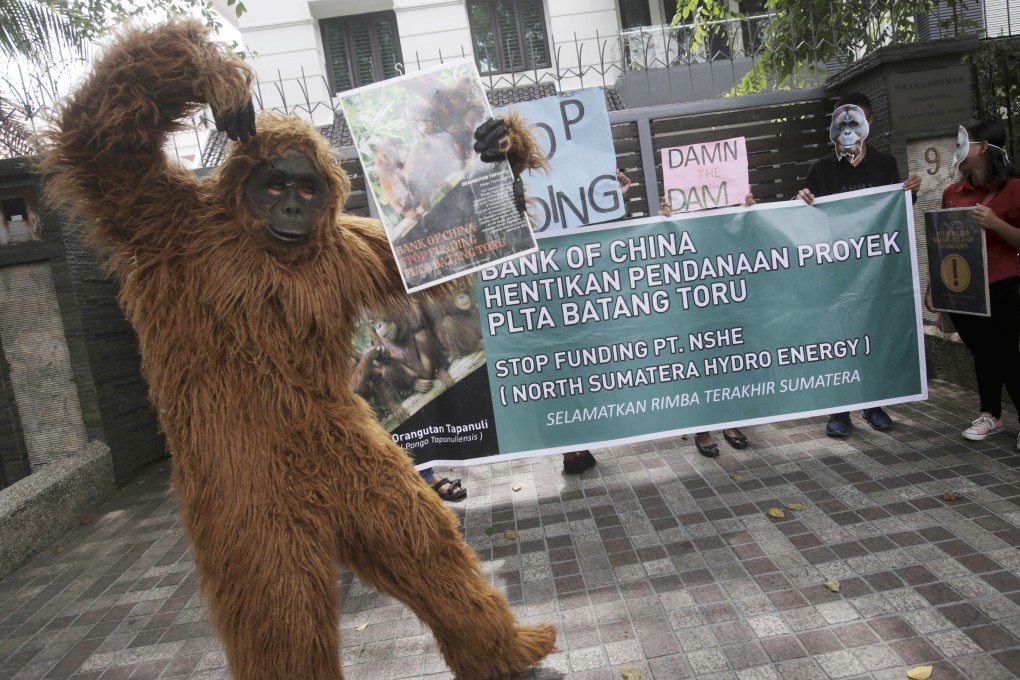 An activist in an orangutan costume protests outside the Chinese Consulate in Medan, Indonesia. Photo: AP