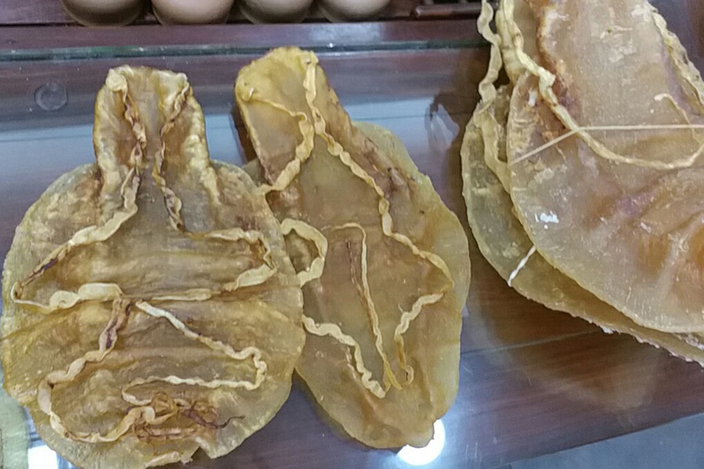 Demand in Chinese medicine for dried swim bladders of totoaba fish is driving a huge black market which can be lucrative for smugglers. Photo: AFP