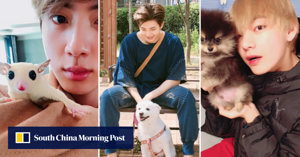 Bts Members Love Their Pets And Post Cute Dog Photos To Instagram Just Like Us From V S Yeontan And Jungkook S Gureum To Jimin S Ddosun These Are All The K Pop Boy Group S
