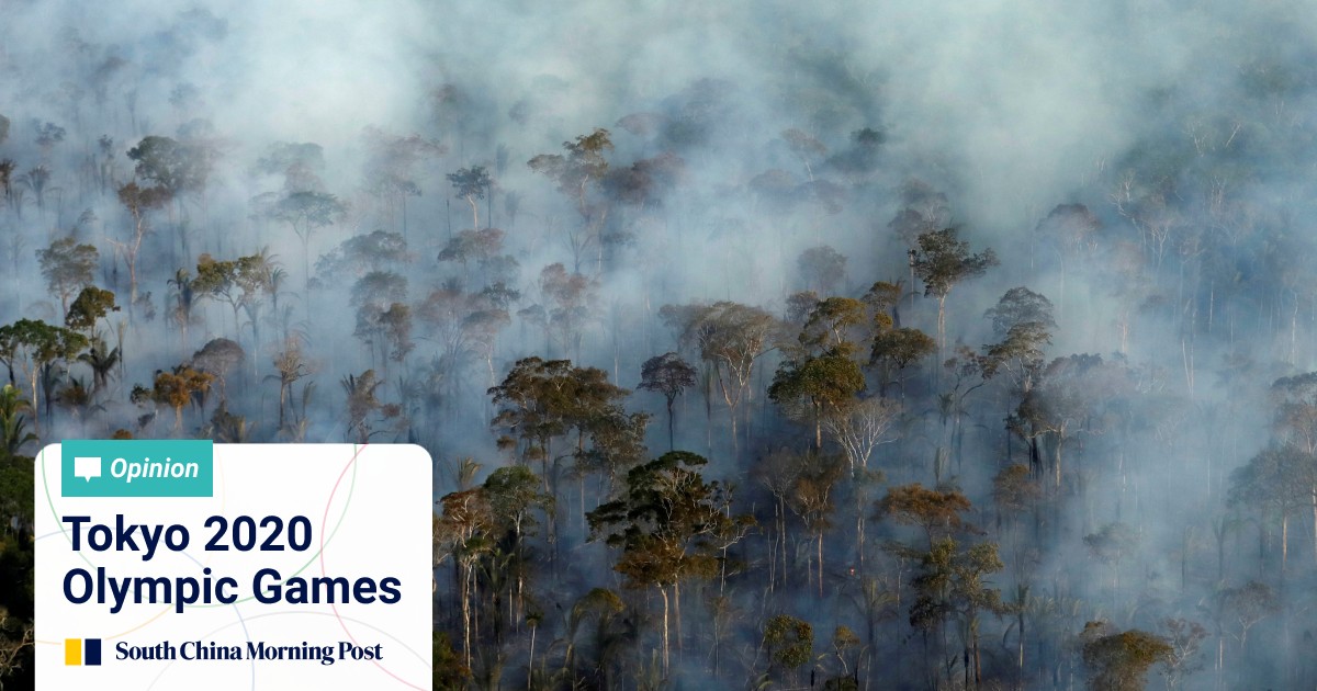 Terrifying Amazon Rainforest Could Collapse In 50 Years South China Morning Post