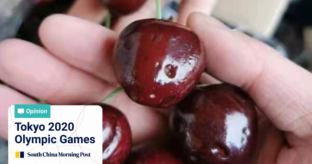 China Australia Relations Some Chinese Importers Shying Away From Tasmanian Cherries Ahead Of Lunar New Year South China Morning Post