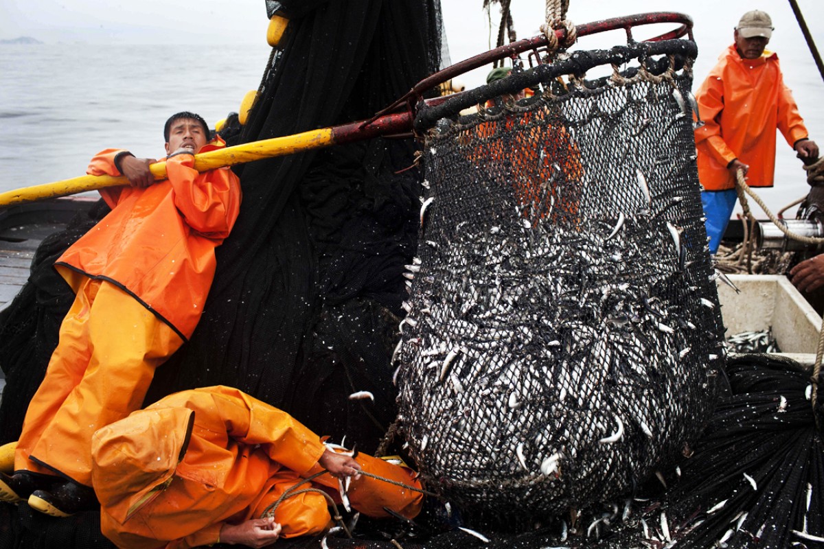 Tech solutions to tackle overfishing, labor abuse at sea