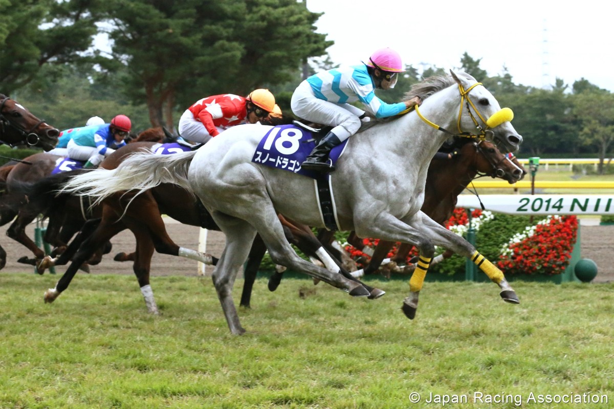 Longines Hong Kong Sprint 2014 South China Morning Post