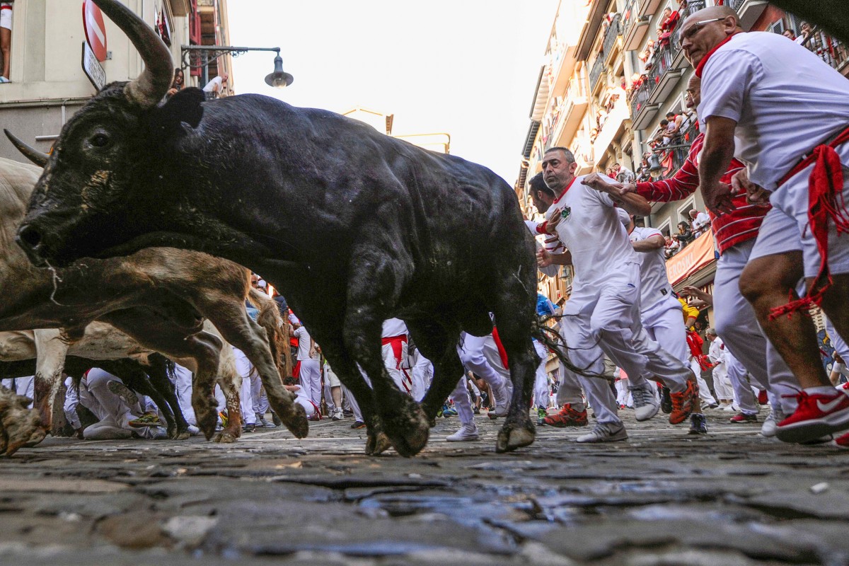 Festival participants run next to fighting bulls in Pamplona, northern Spain on July 11, 2018. Photo: Agence France-Press