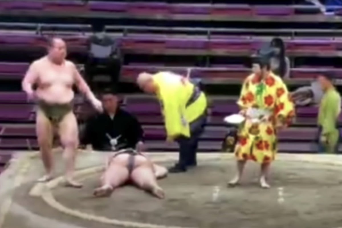 Sumo.gif, Wiki