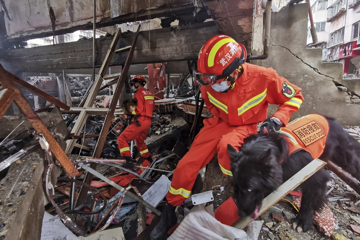 In this photo released by Xinhua News Agency, rescue workers using sniffer dogs to search for survivors in the aftermath of a gas explosion in Shiyan city in central China’s Hubei Province on Sunday, June 13, 2021. At least a dozen people were killed and more seriously injured Sunday after a gas line explosion tore through the residential neighborhood in central China. (Xiao Yijiu/Xinhua via AP)