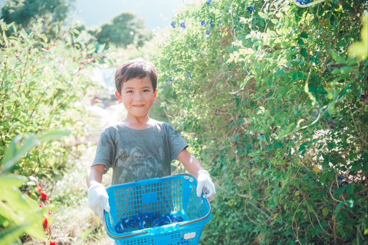 'Farmcation'? Hong Kong staycations with farm or nature visits, from ...