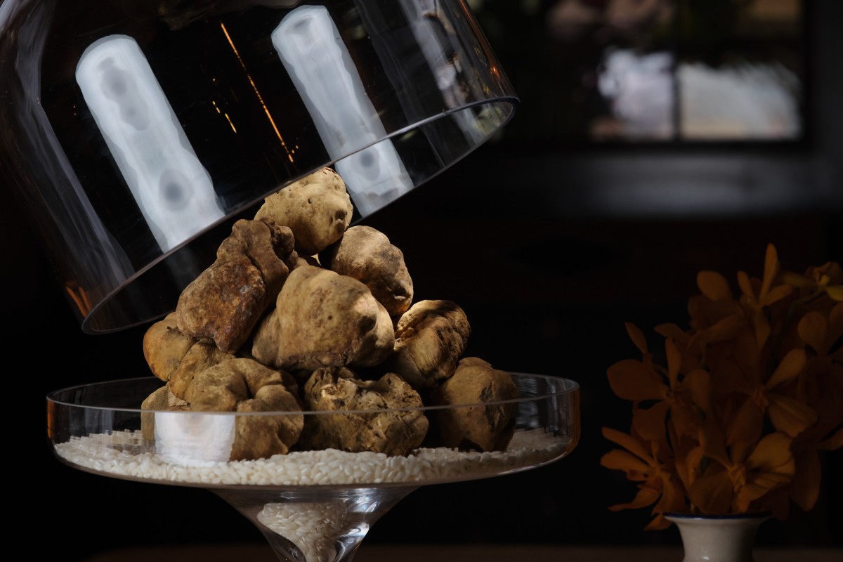 Ugly on the outside, utterly delicious on the inside: white truffles at Sabatini Ristorante Italiano. Photo: SCMP Archive