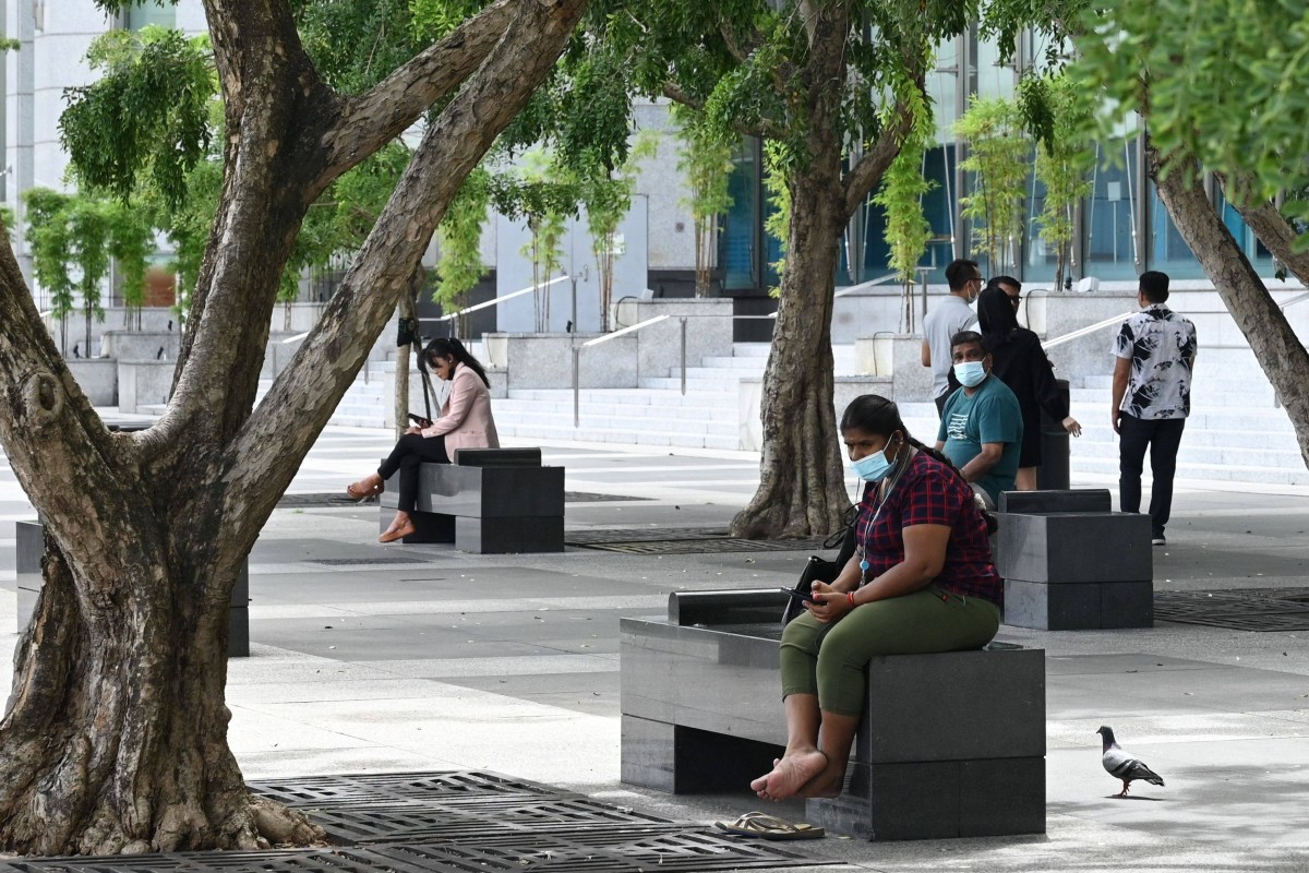 People relax under trees in the financial district of Singapore. Photo: AFP