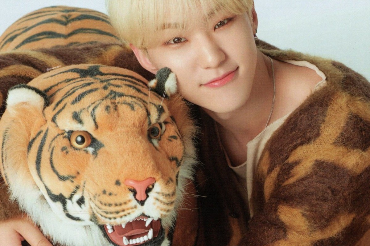 Five K-pop songs to celebrate the Year of the Tiger: feline hits from Hoshi  of Seventeen to Ryu Su-jeong from Lovelyz | South China Morning Post