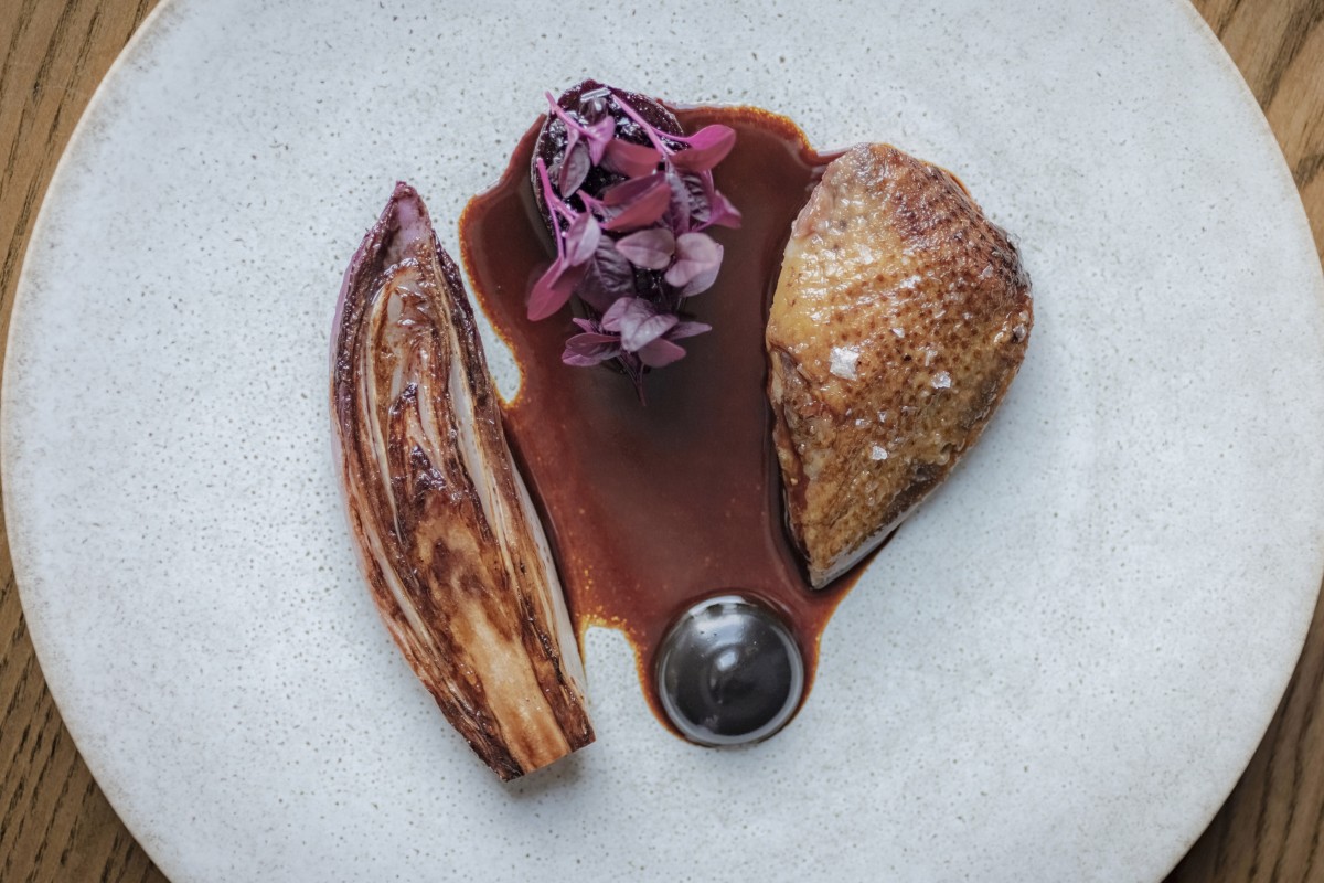 Seven-day hay aged local pigeon with chicory, beetroot and preserved blackcurrant at Roganic. Photo: Handout