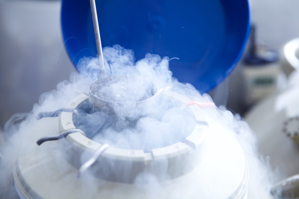 A tube of eggs is placed in cryogenic storage to be used for in vitro fertilisation (IVF). Photo: Getty Images