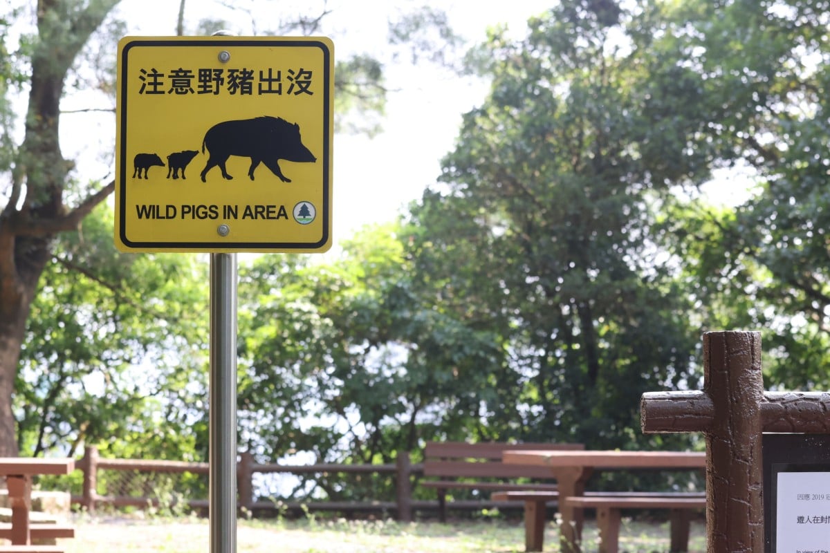 A sign in Tai Tam Country Park warning hikers of wild boars in the area. Photo: Nora Tam
