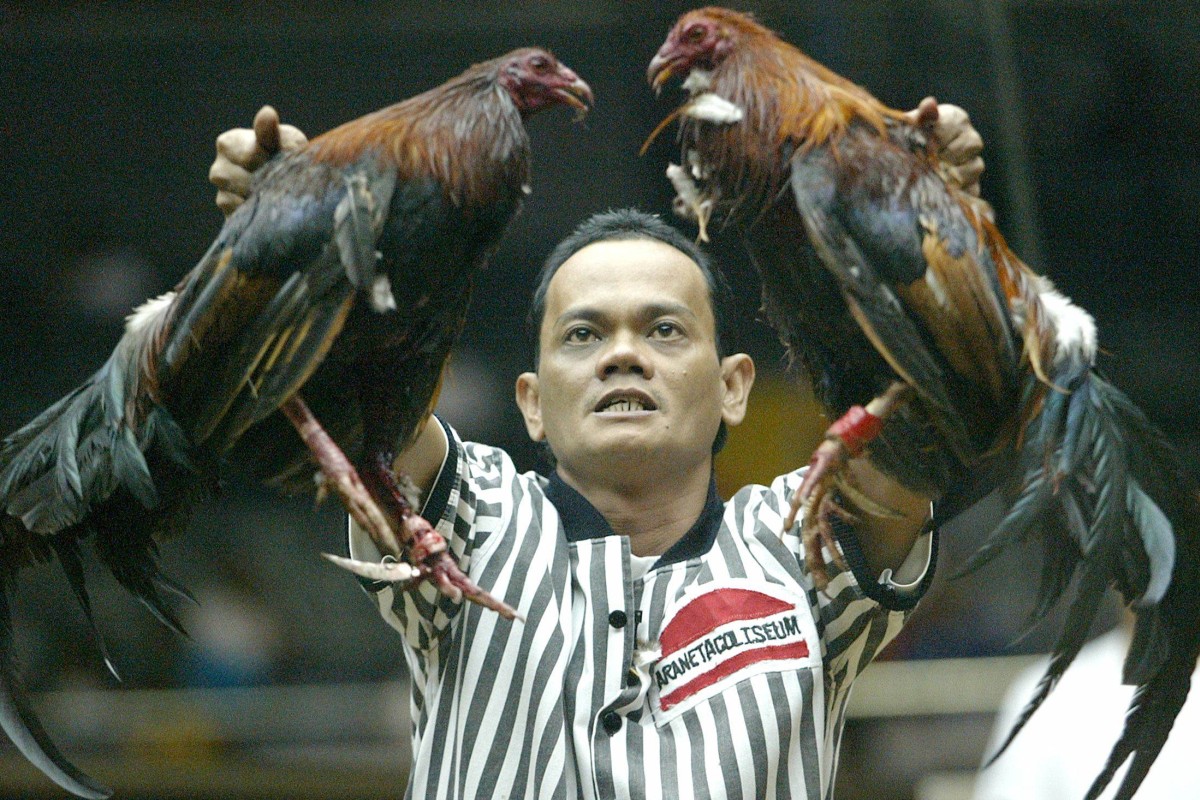 Philippines President Rodrigo Duterte vows to ban online cockfighting known as 'e-sabong' | South China Morning Post