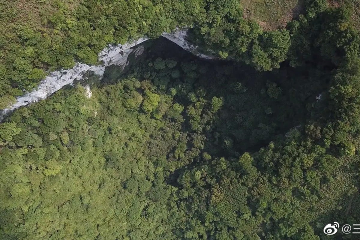 What we know so far about the newly discovered forest in a massive Chinese  sinkhole | South China Morning Post, image size:1200x800