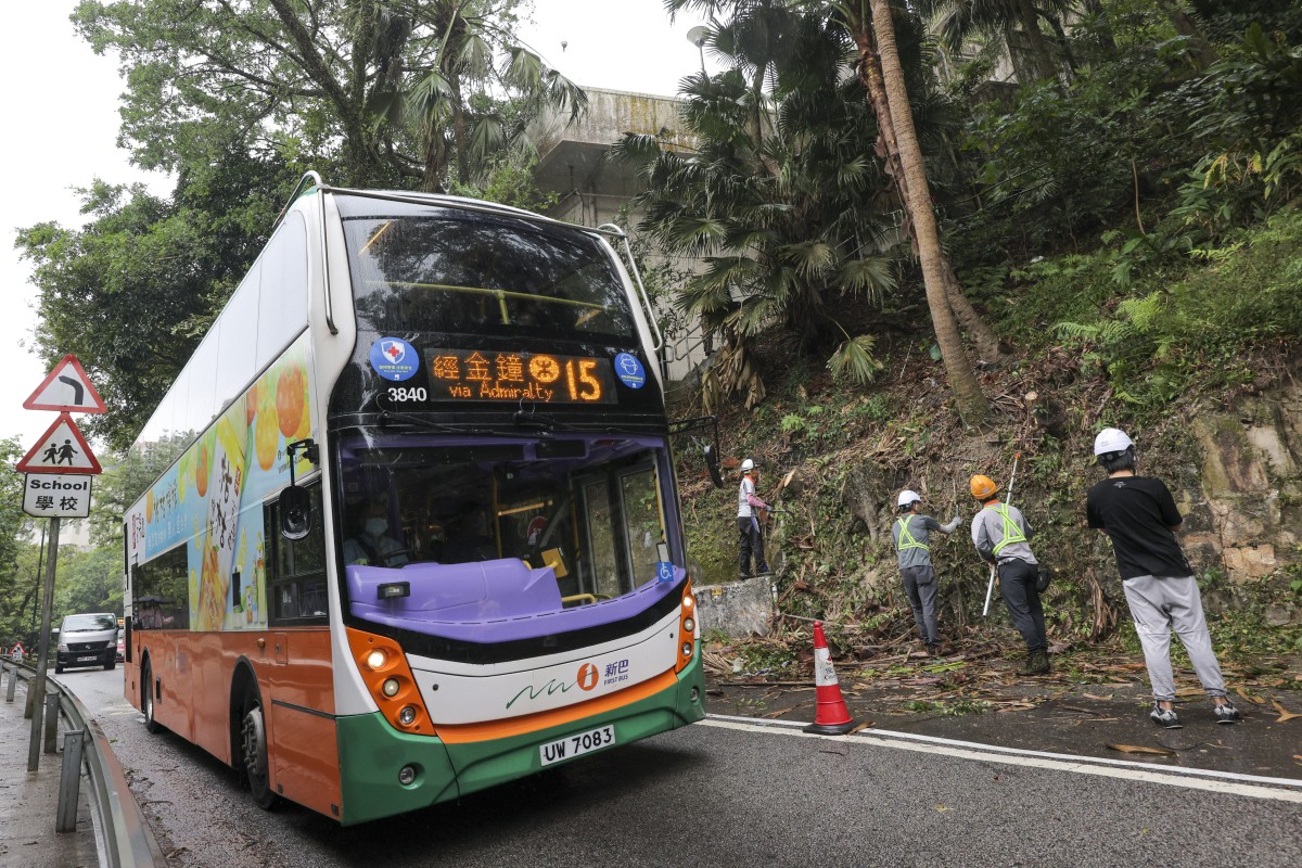 Workers clean up on October 18 after a tree falls on Peak Road. Seven passengers were injured when a tree fell on a bus travelling on The Peak as Hong Kong felt the effects of Typhoon Nesat. Photo: Jelly Tse
