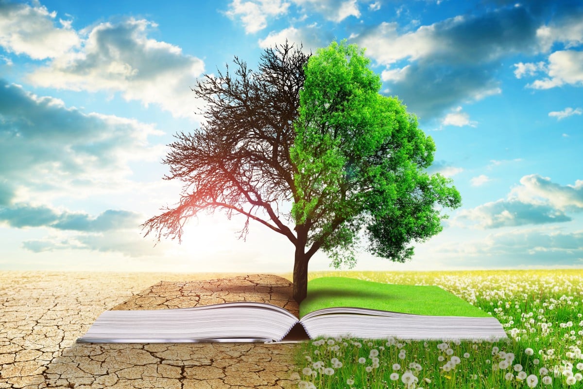 The world’s top universities have to do more to incorporate sustainability elements in their curriculums to prepare students to deal with the climate crisis, according to a study. Photo: Shutterstock