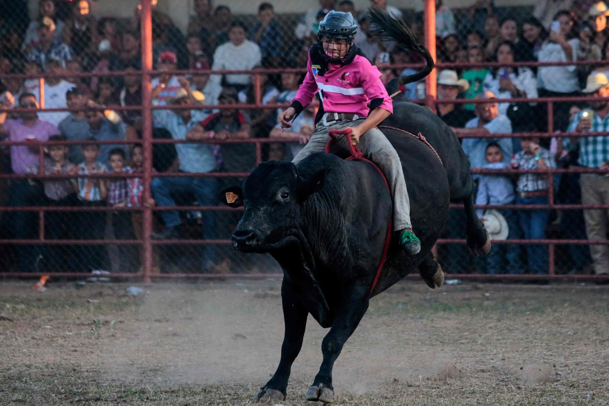 A bull rider performs in Teustepe, Nicaragua. Photo: AFP 