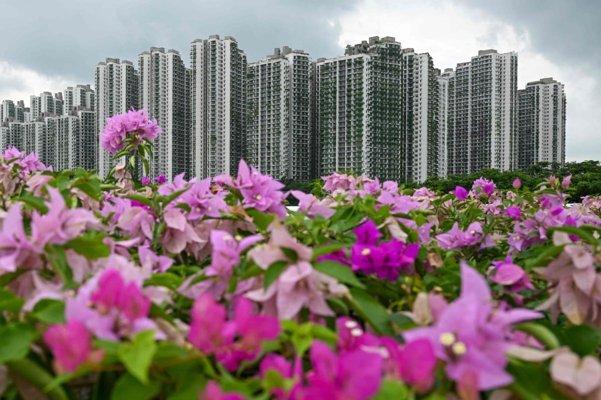 Condominiums at Forest City. Photo: AFP