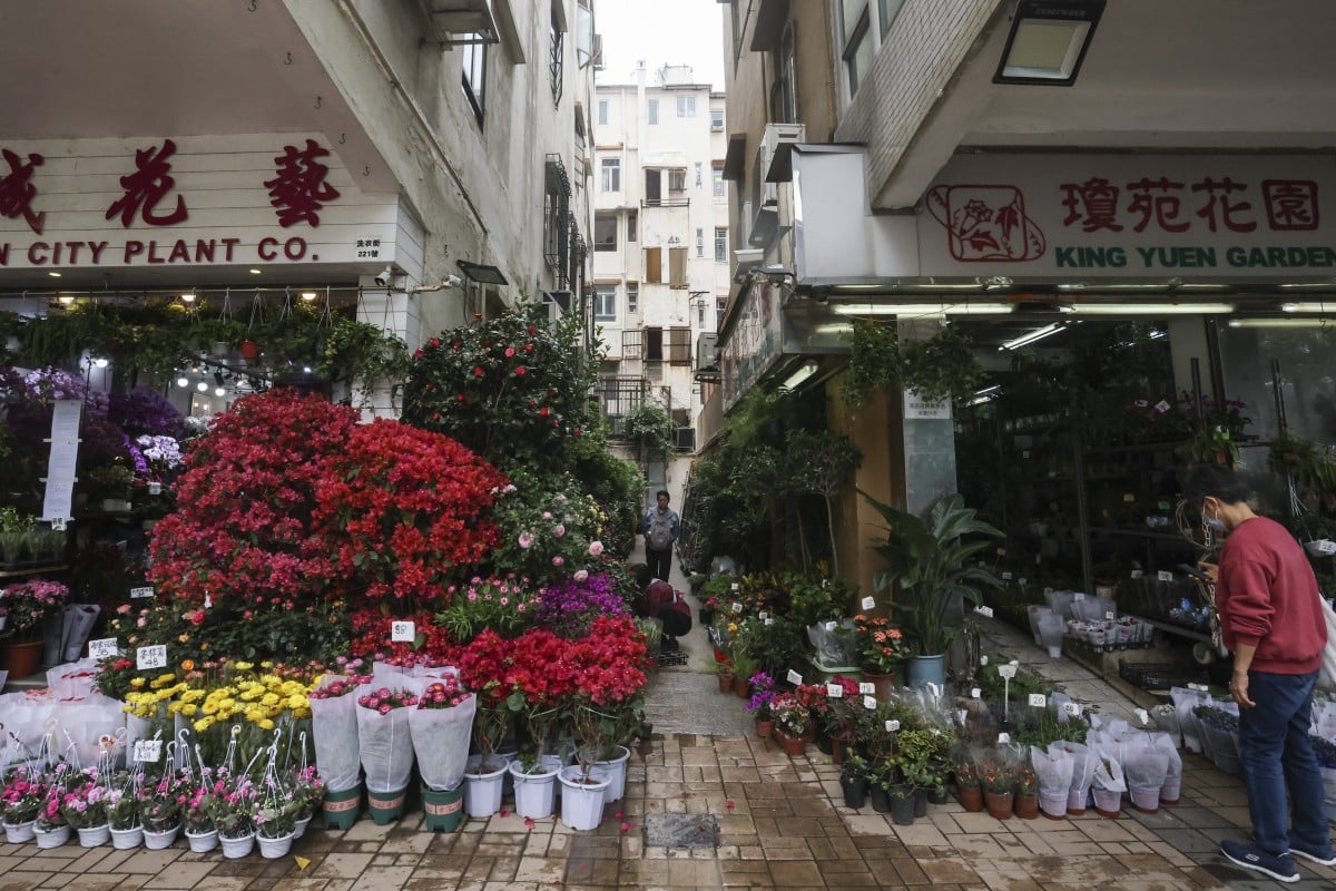 Blooms are seen on display at Mong Kok flower market on March 15. Photo: Jonathan Wong