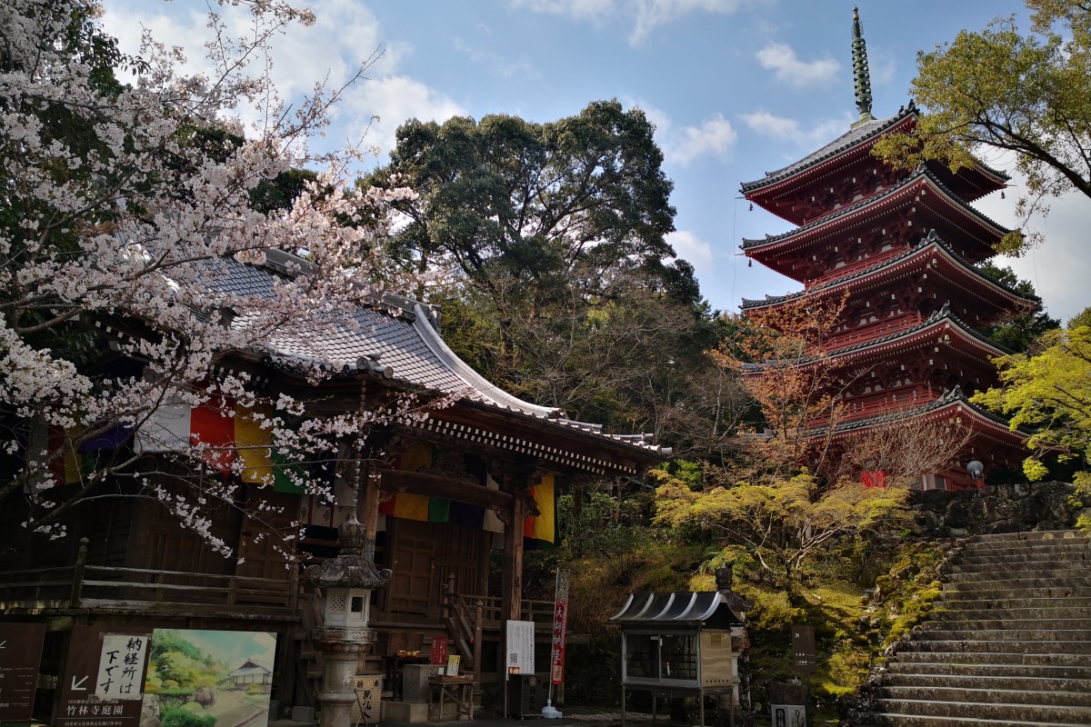 Chikurin-Ji temple, daishi-do and pagoda at Chikurinji, Japan. Photo: Handout
