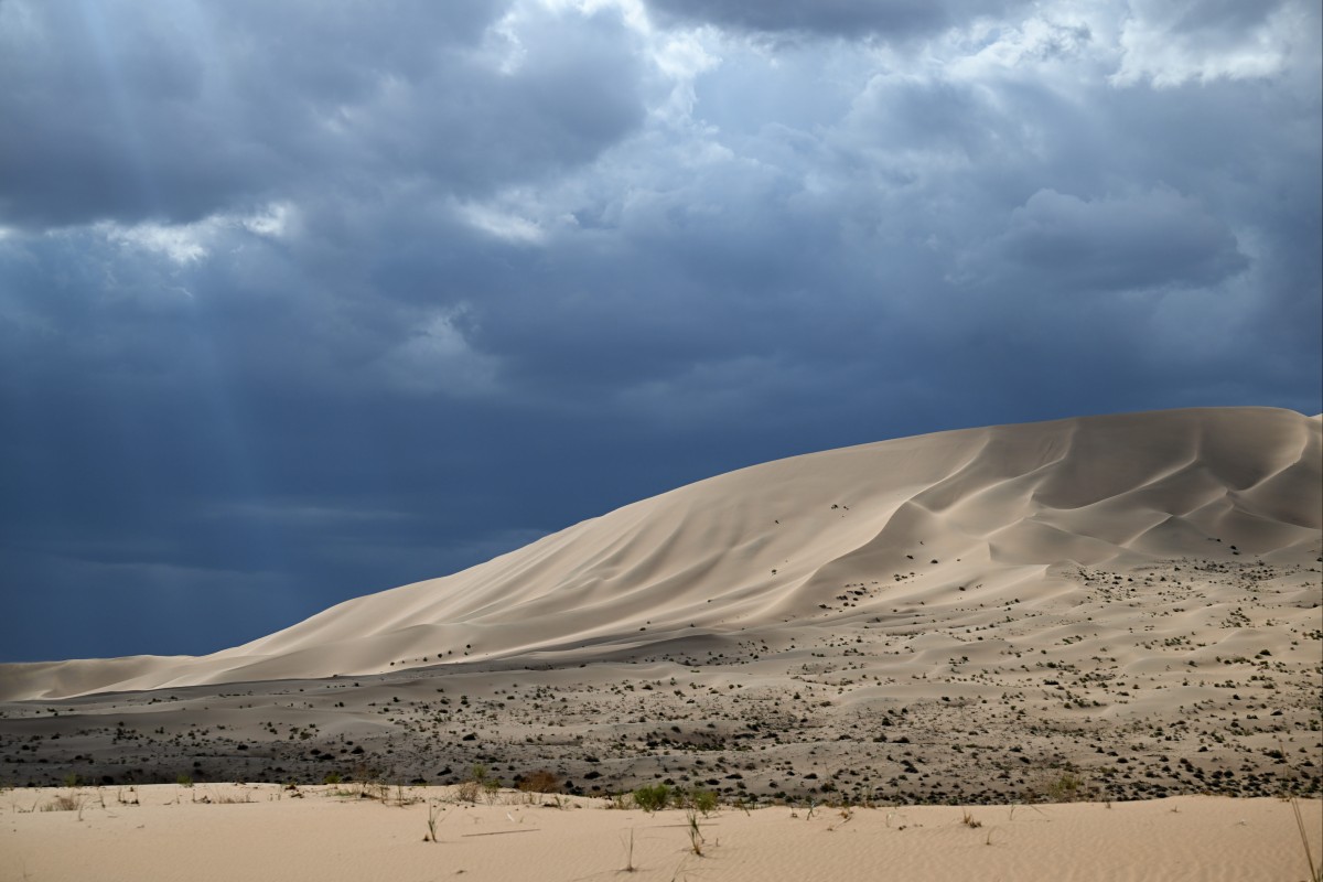 Una duna de arena bajo un cielo nublado con tonos oscuros, que muestra un paisaje árido con pequeñas plantas dispersas, creando un contraste entre la serenidad del desierto y la inminencia de una tormenta.