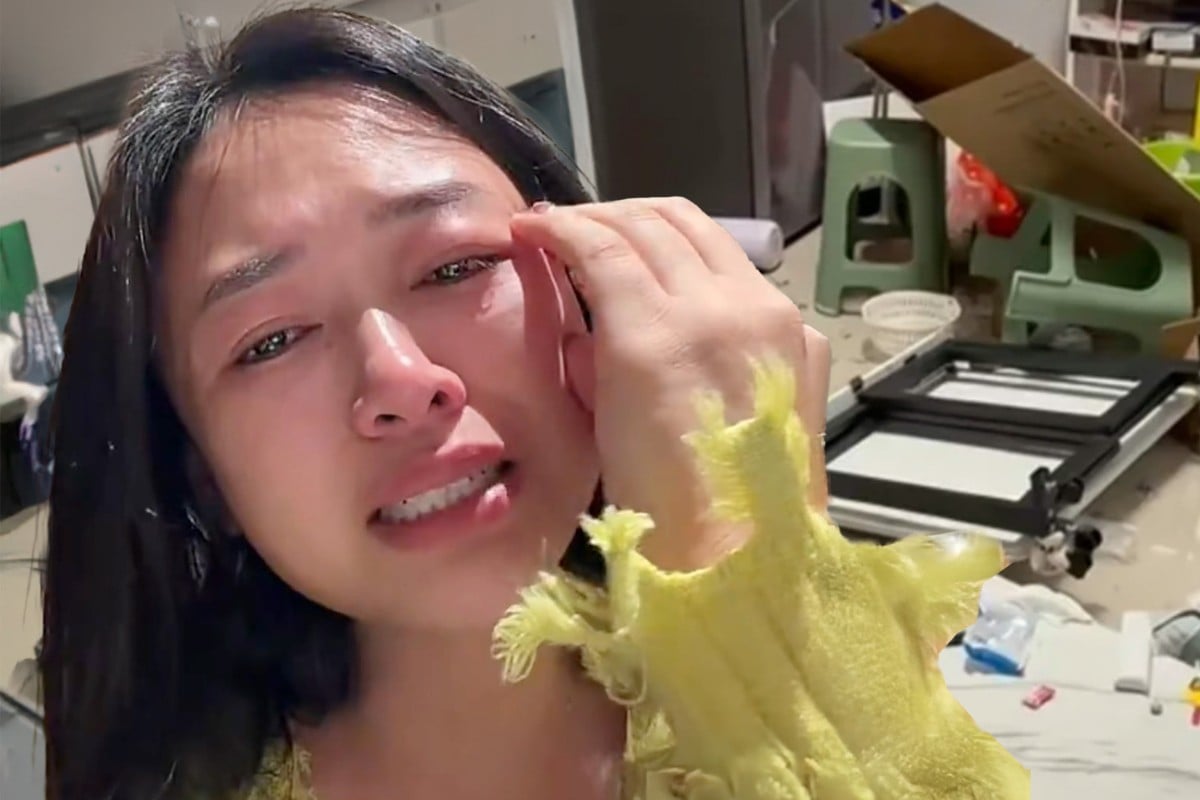 Furious husband violently smashes up house because wife bought $215 washing machine without telling him