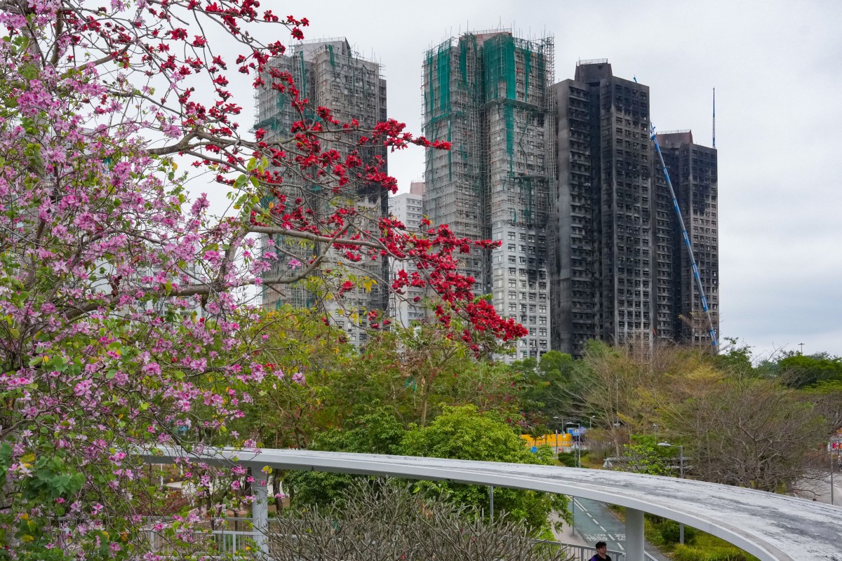The fire at Wang Fuk Court killed 168 people. Photo: Jelly Tse