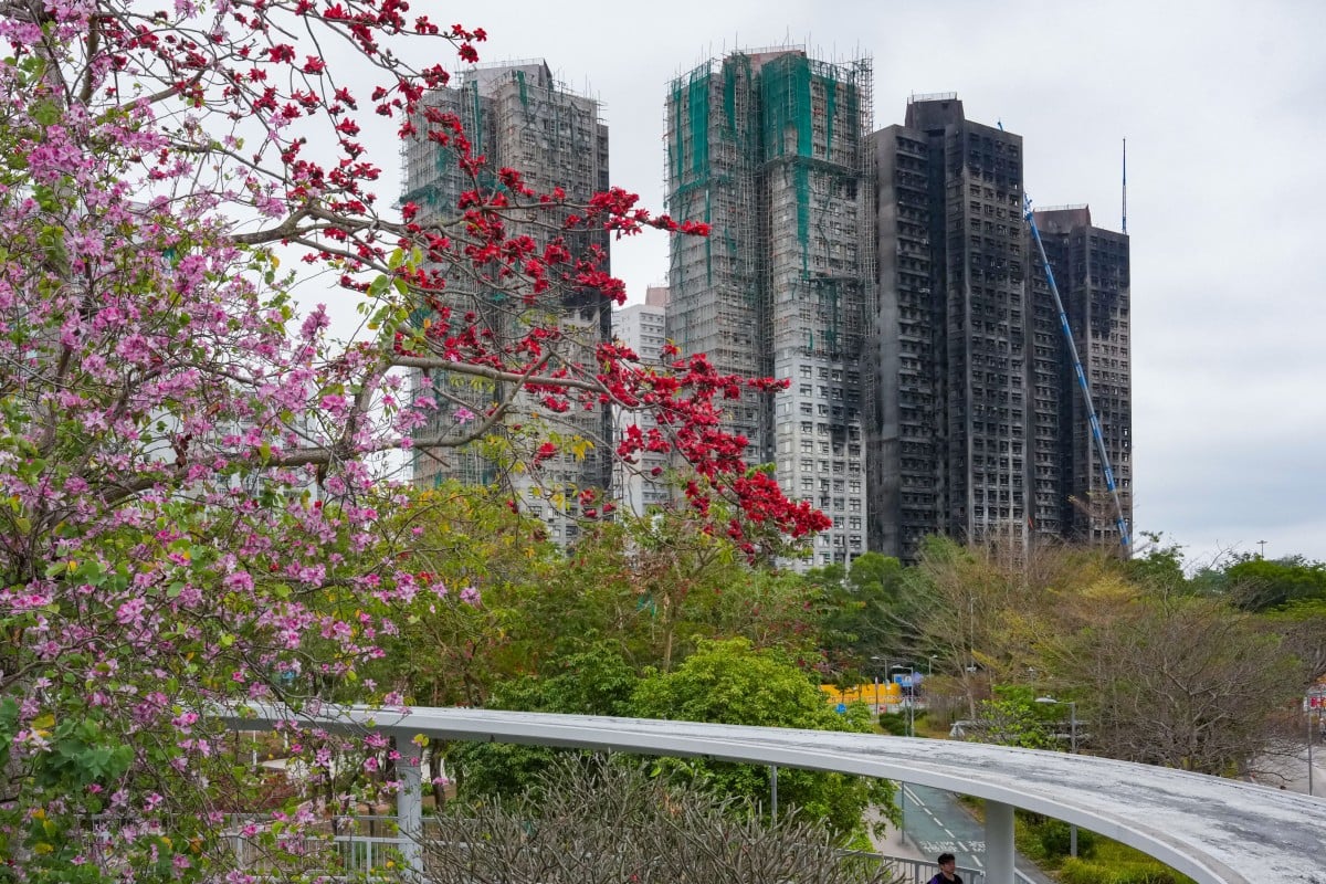 The fire at Wang Fuk Court killed 168 people. Photo: Jelly Tse