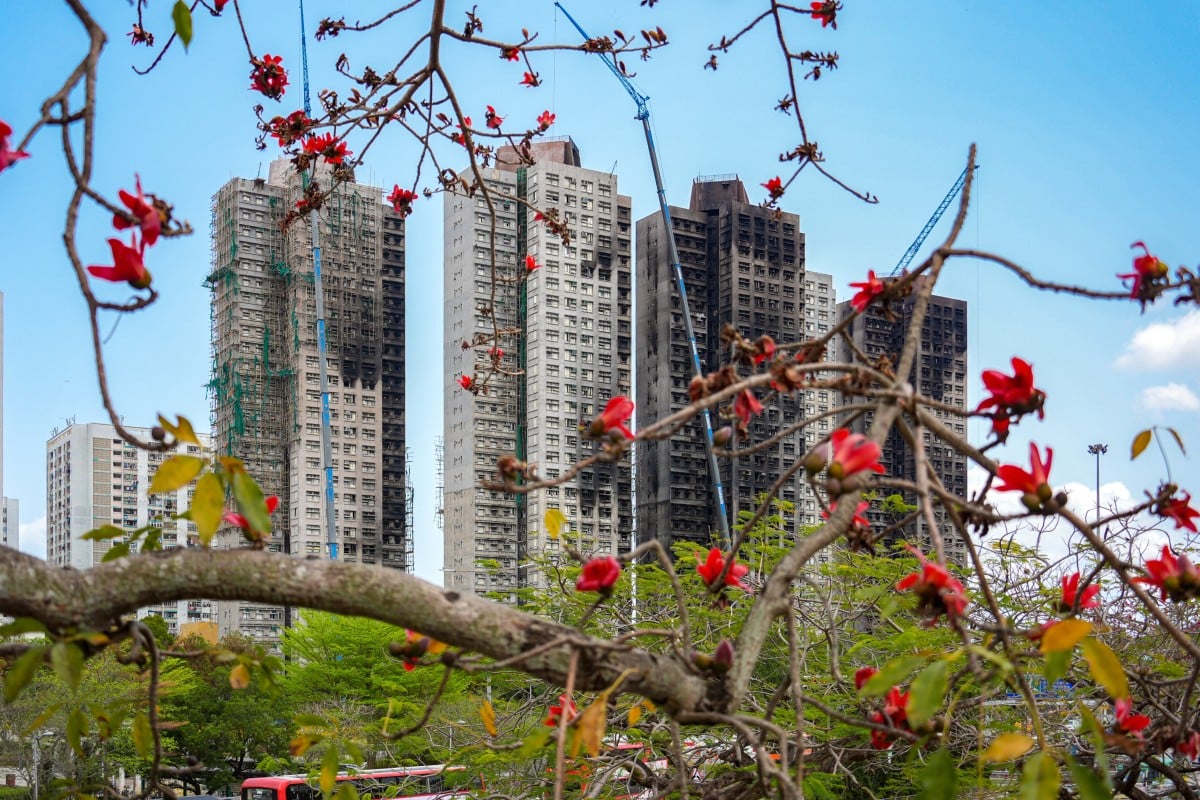 The catastrophic fire at Wang Fuk Court in Tai Po killed 168 and displaced about 5,000 residents. Photo: Eugene Lee