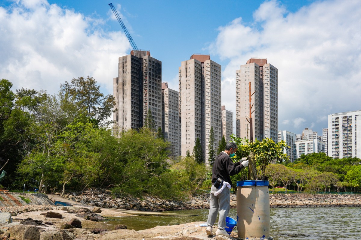 The deadly fire at Wang Fuk Court killed 168 people and displaced about 5,000 residents. Photo: Eugene Lee