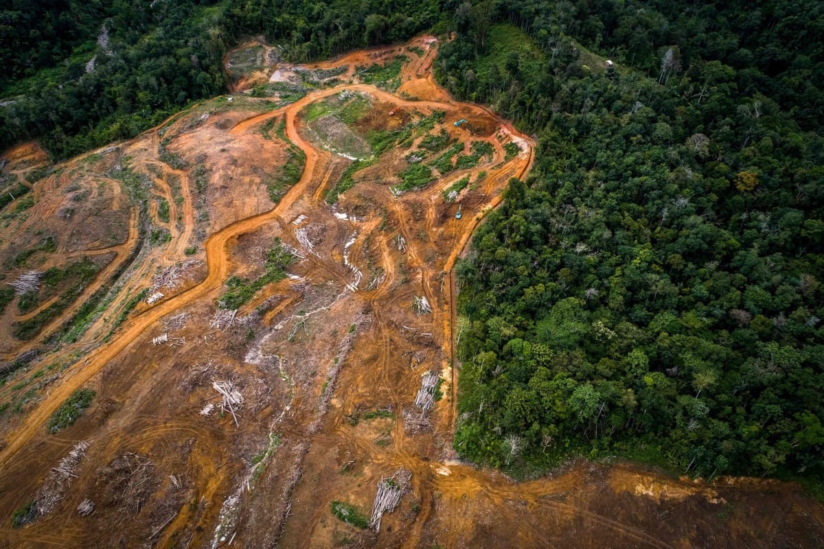 An aerial view on August 20, 2018, of land cleared as a staging area for the building of a new hydroelectric dam in the Batang Toru rainforest, the only known habitat of the Tapanuli orangutan, on Sumatra island. Photo: Handout by the Sumatran Orangutan Conservation Programme SOCP)/AFP