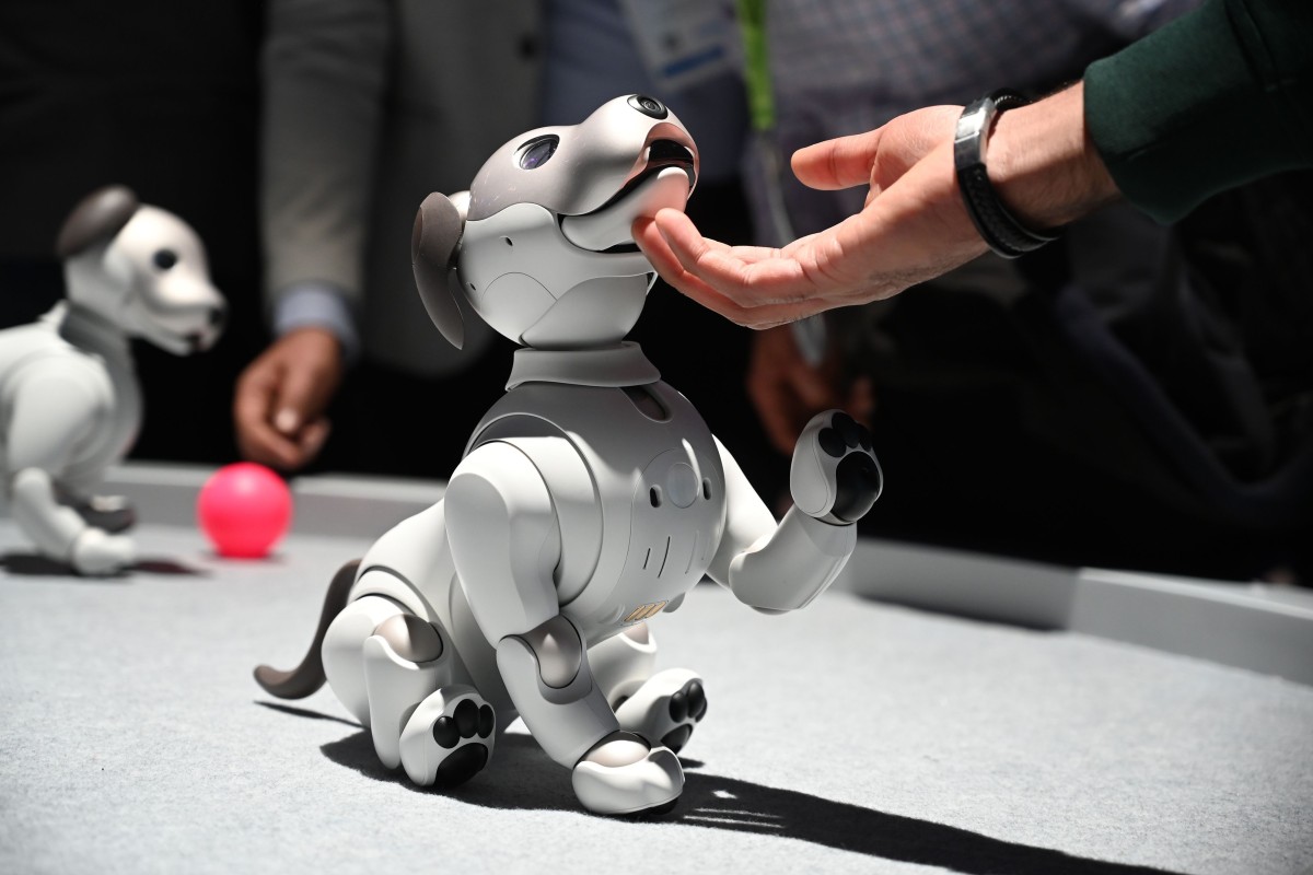 aibo robot cat