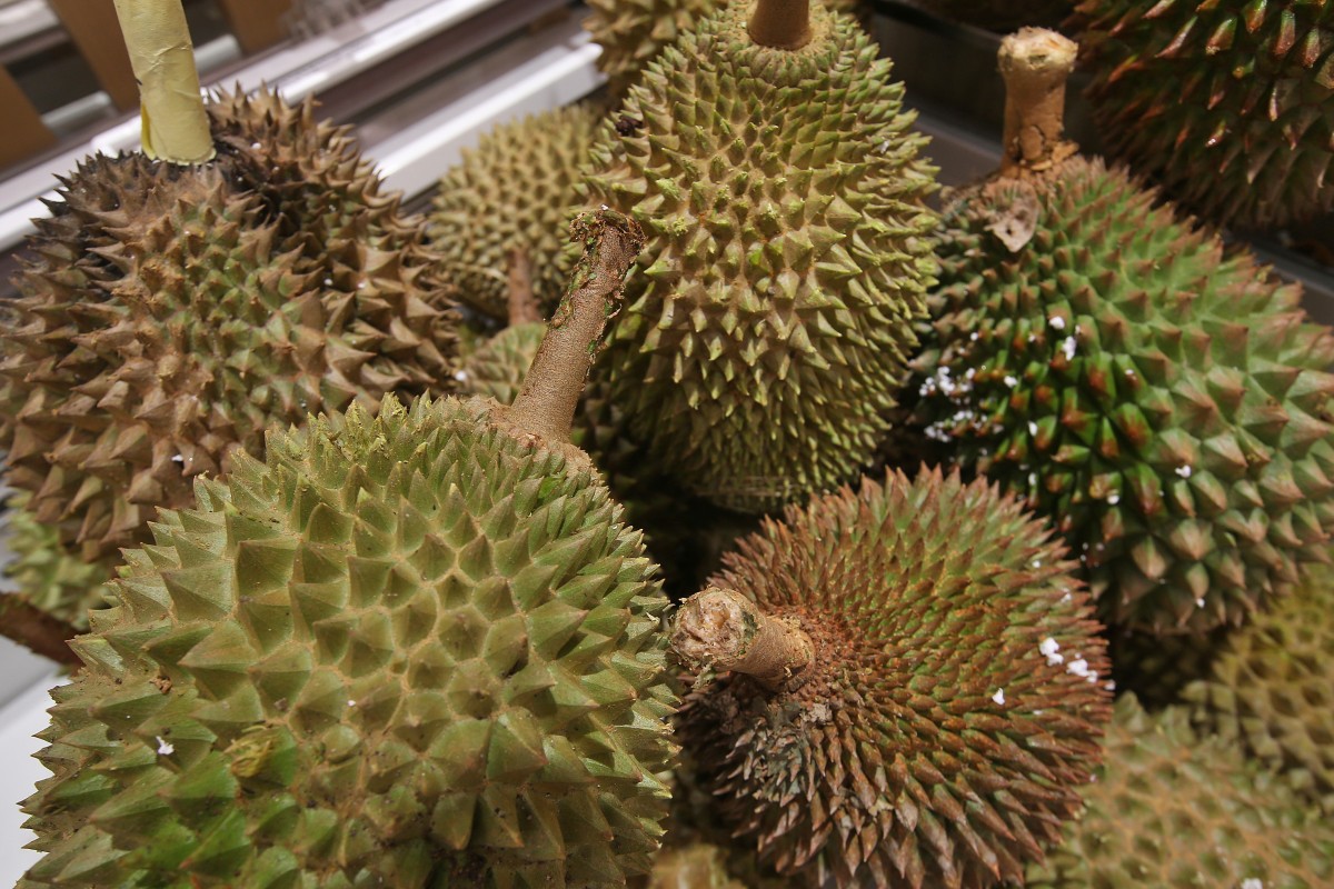 Australian library evacuated after the smell of durian was mistaken for ...