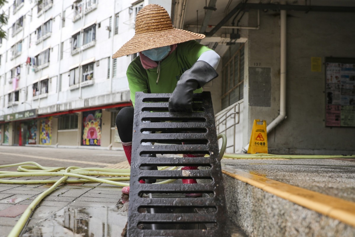 Flipboard: Hong Kong’s pest control methods slammed as cleaning ...