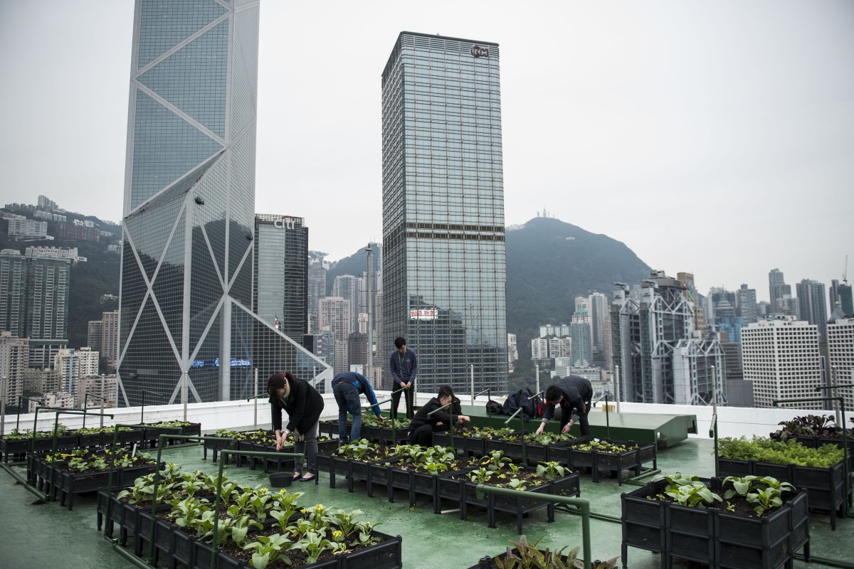 How Urban Farms Could Solve Our Future Food Problems And Promote A