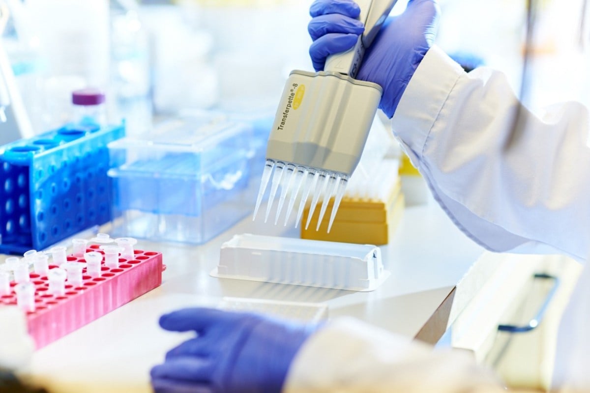 Subgroups of Breast and Ovarian Cancers Exhibit the Same Unique Drug Sensitivity Subgroups of Breast and Ovarian Cancers Exhibit the Same Unique Drug Sensitivity