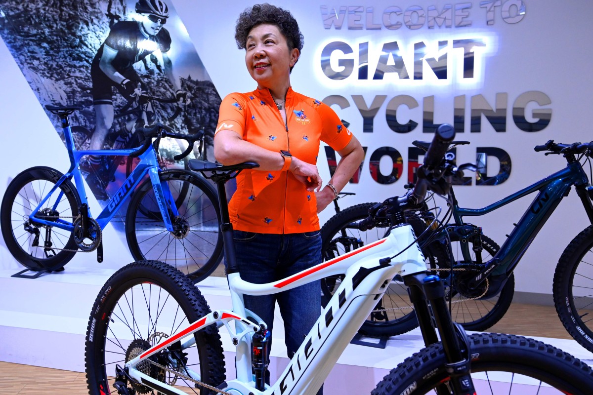 giant 2019 electric bikes