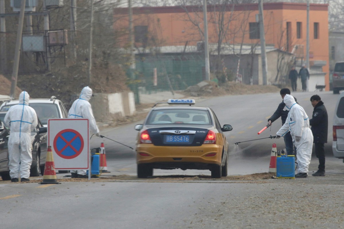 Since the first African swine fever outbreak in Liaoning province in August 2018, the disease has affected animals across the country, forcing China to cull more than 1.1 million pigs from an estimated herd of 350 million. Photo: Reuters