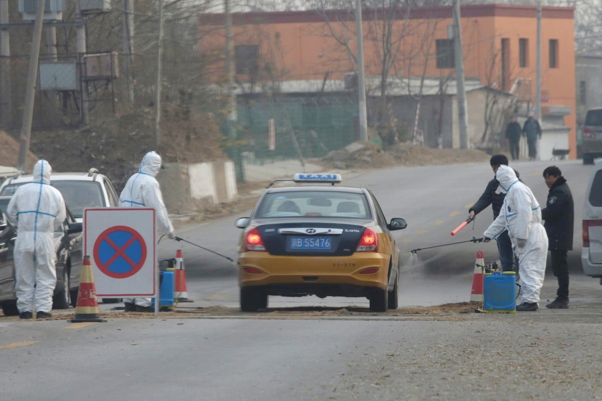 Since the first African swine fever outbreak in Liaoning province in August 2018, the disease has affected animals across the country, forcing China to cull more than 1.1 million pigs from an estimated herd of 350 million. Photo: Reuters