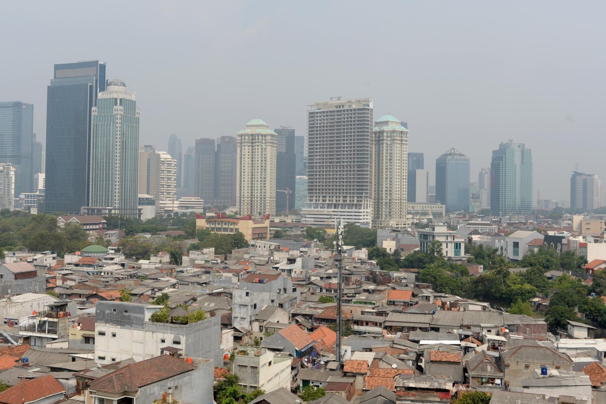 Borneo forest emerges as front runner to replace Jakarta  