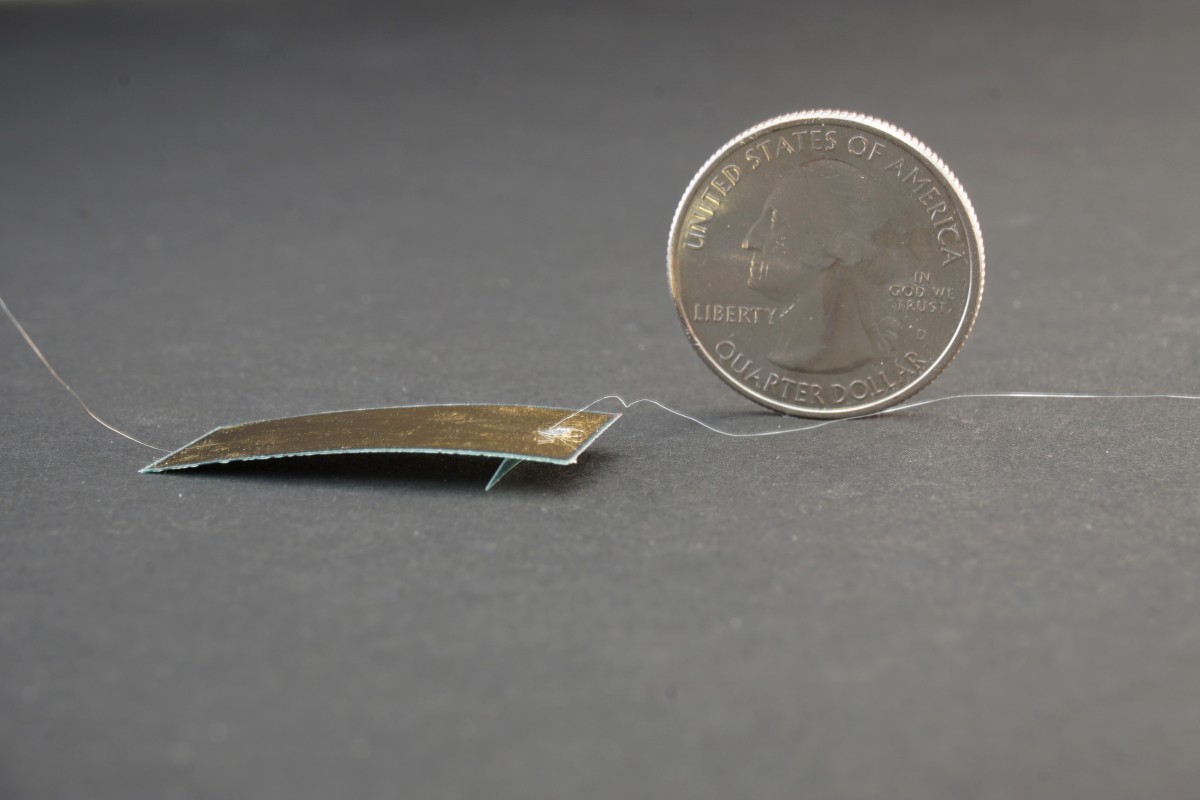this tiny cockroach robot could be the future of search and rescue when disasters strike chindia alert you ll be living in their world very soon