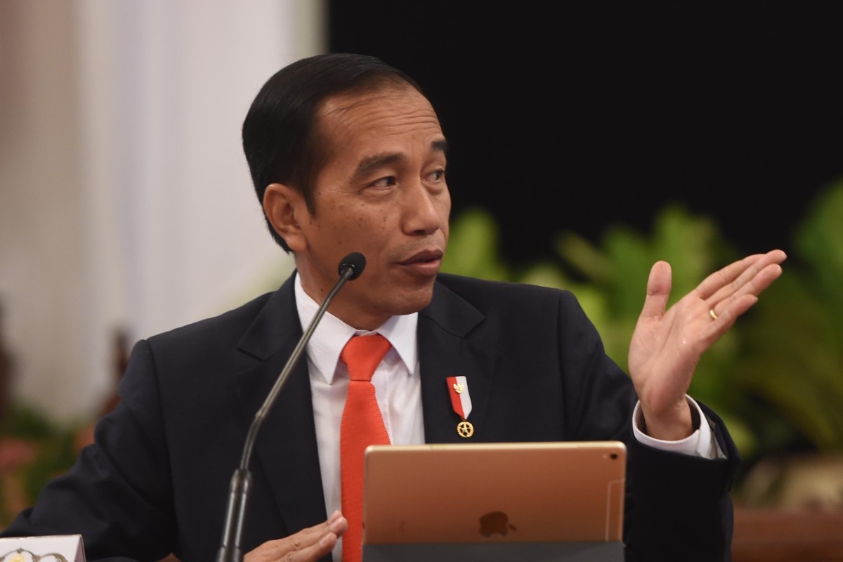 From ‘Saint Jokoburg’ to ‘Jokopolis’, Indonesia’s new capital sparks