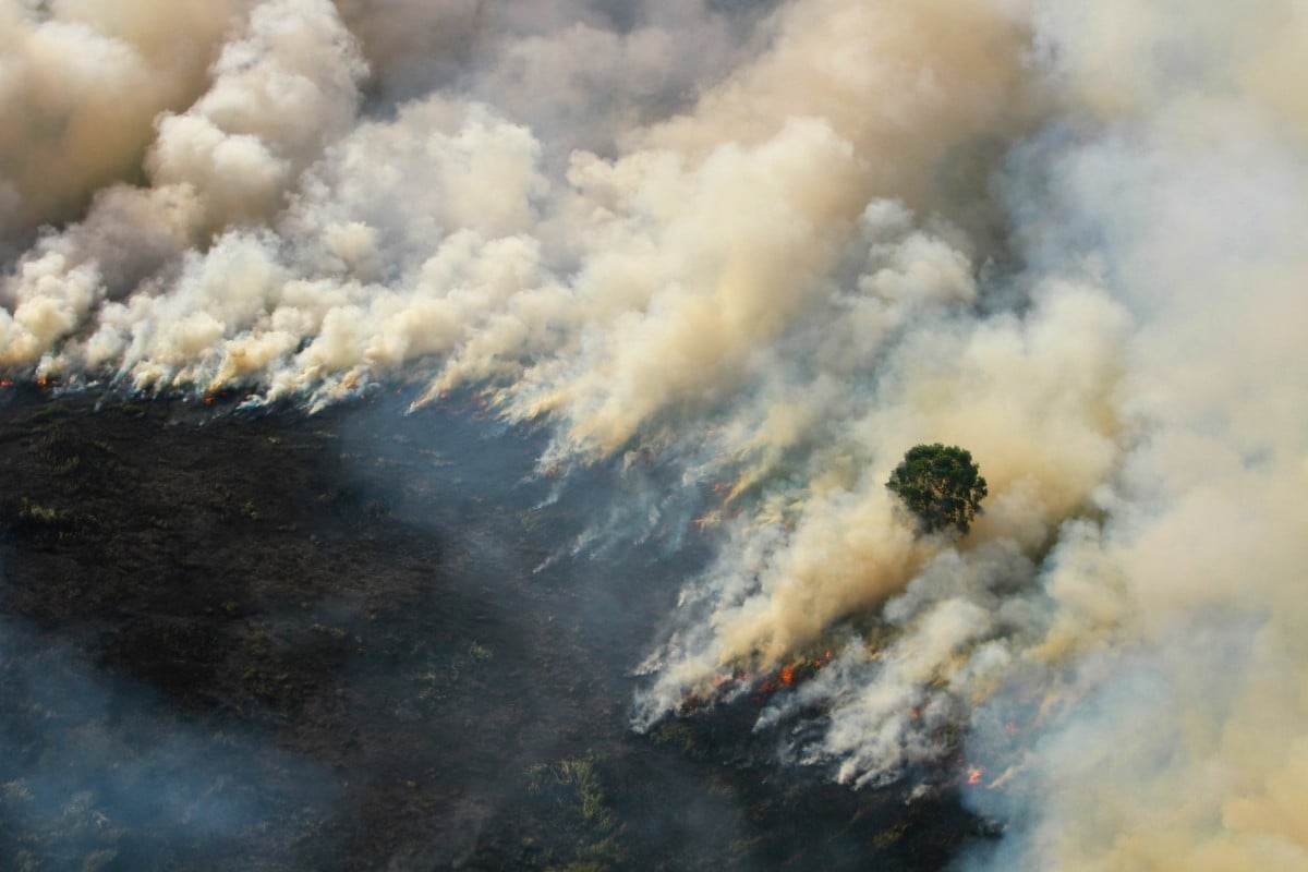 Malaysia Mad At Indonesia Over Smog From Massive Forest Fires South China Morning Post