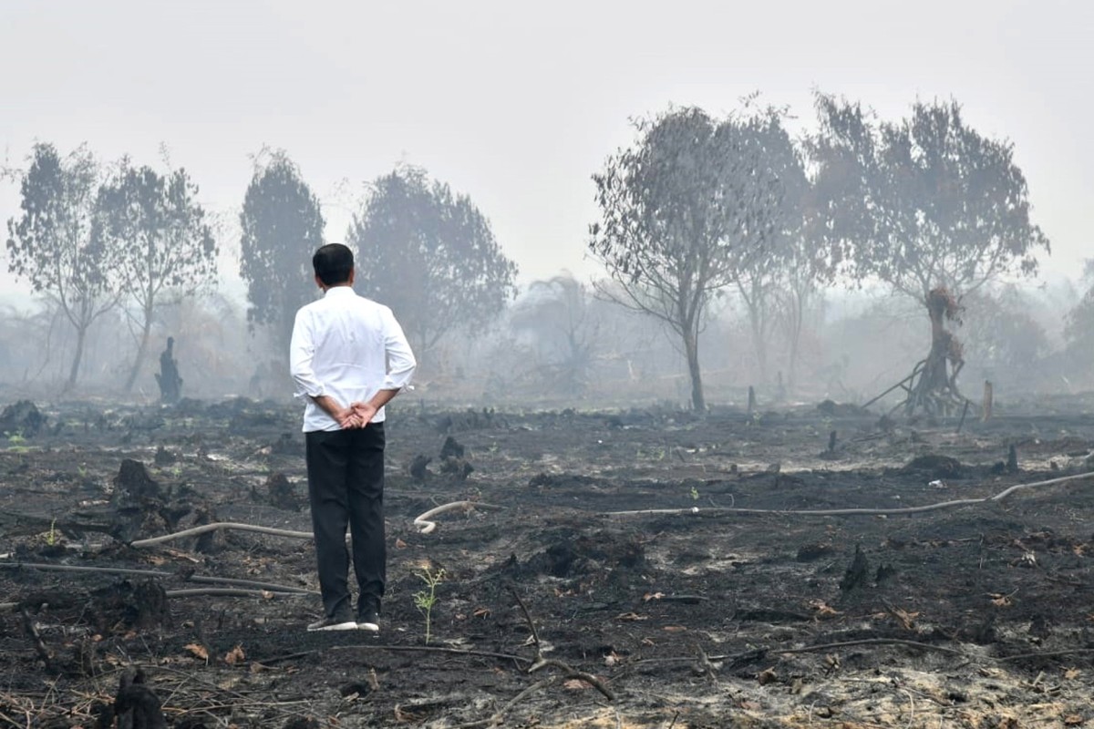 Indonesia Needs To Get Tougher On Fires South China Morning Post