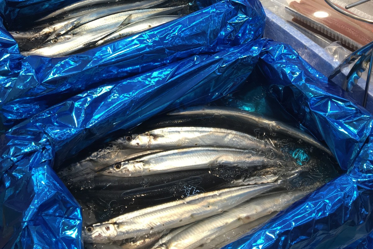 Something Fishy Japanese Have Been Eating Sanma For Generations But It S Now In Short Supply South China Morning Post