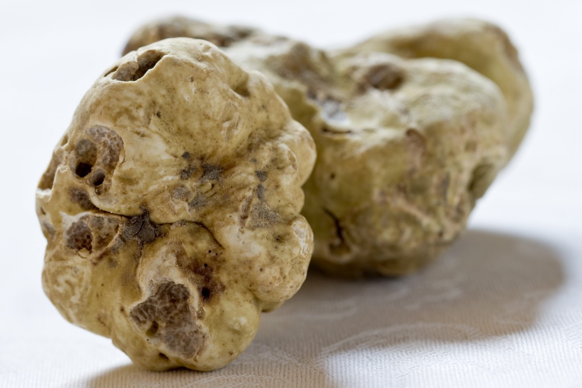 Rich Hongkonger pays US132,000 for huge 1kg white truffle at celebrity chef Umberto Bombana’s