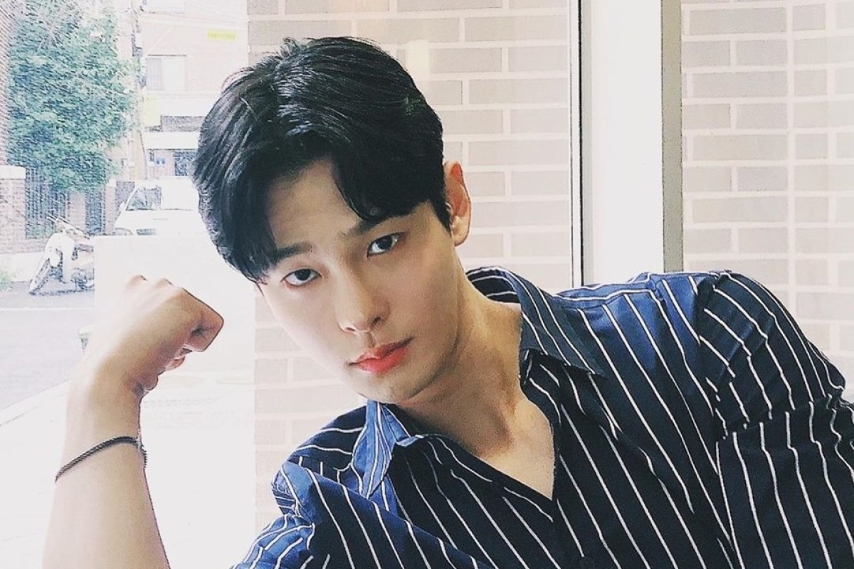 Korean Actor Cha In Ha 27 Found Dead The Third Death After Those Of Singers Goo Hara And Sulli To Rock Korean Entertainment Industry In Space Of Two Months South China