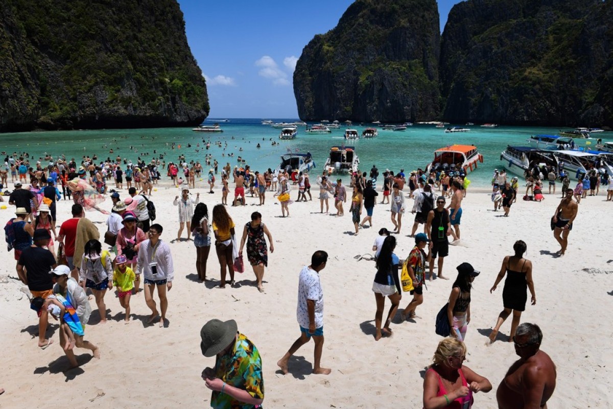 Miracle Of Maya Bay How Thai Paradise Island Wrecked By Tourism Has Staged An Incredible Recovery In Marine Life South China Morning Post