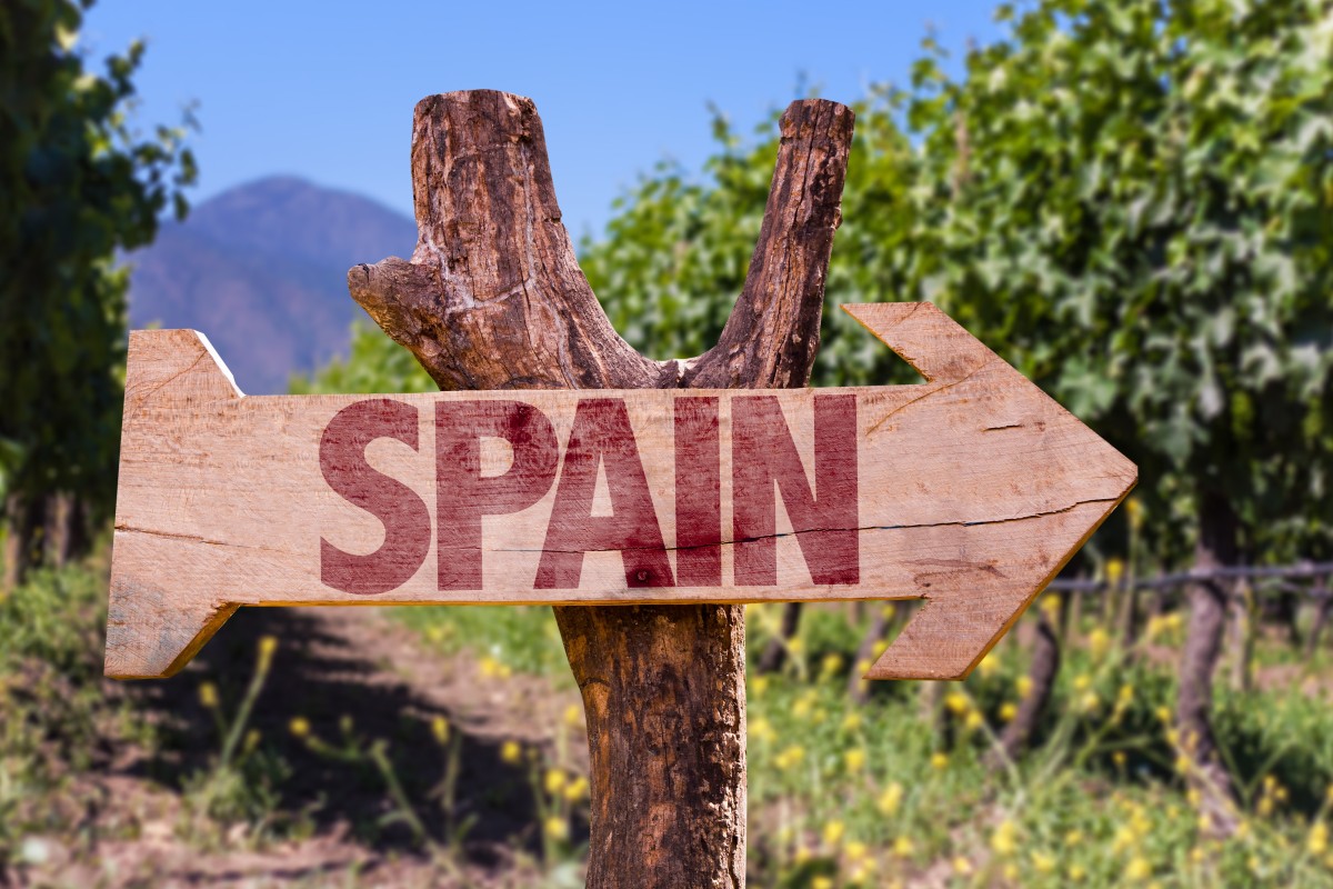 Vino variety five of Spain’s lesserknown grapes and what to pair them
